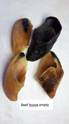 Beef Empty Hoof