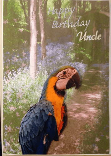 Birthday Card (Ref 05)