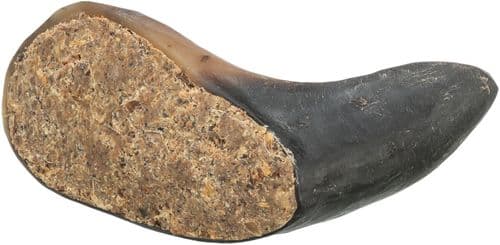 Buffalo Horn, filled