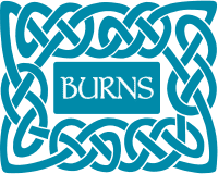 Burns