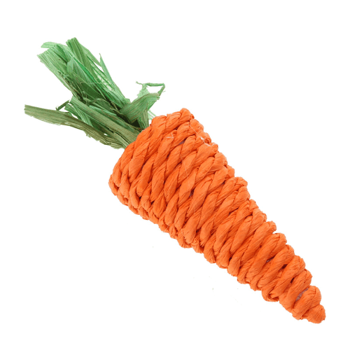 Carrot Teether Toy