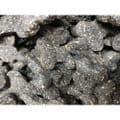 Charcoal Bones