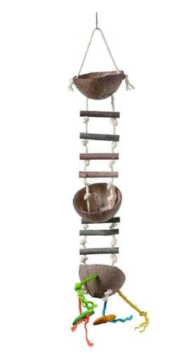 Coco Feeder With Ladder