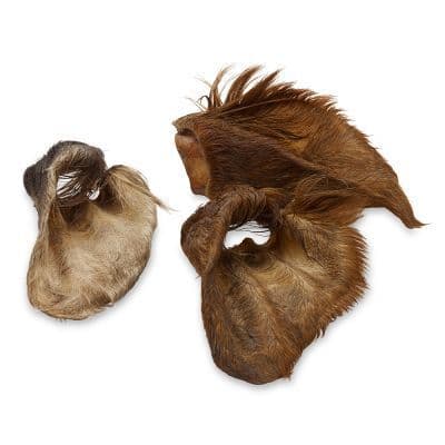 Cows Ears with or without fur