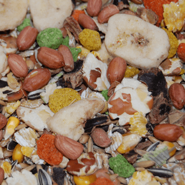 Fruity Hamster Mix - 1kg