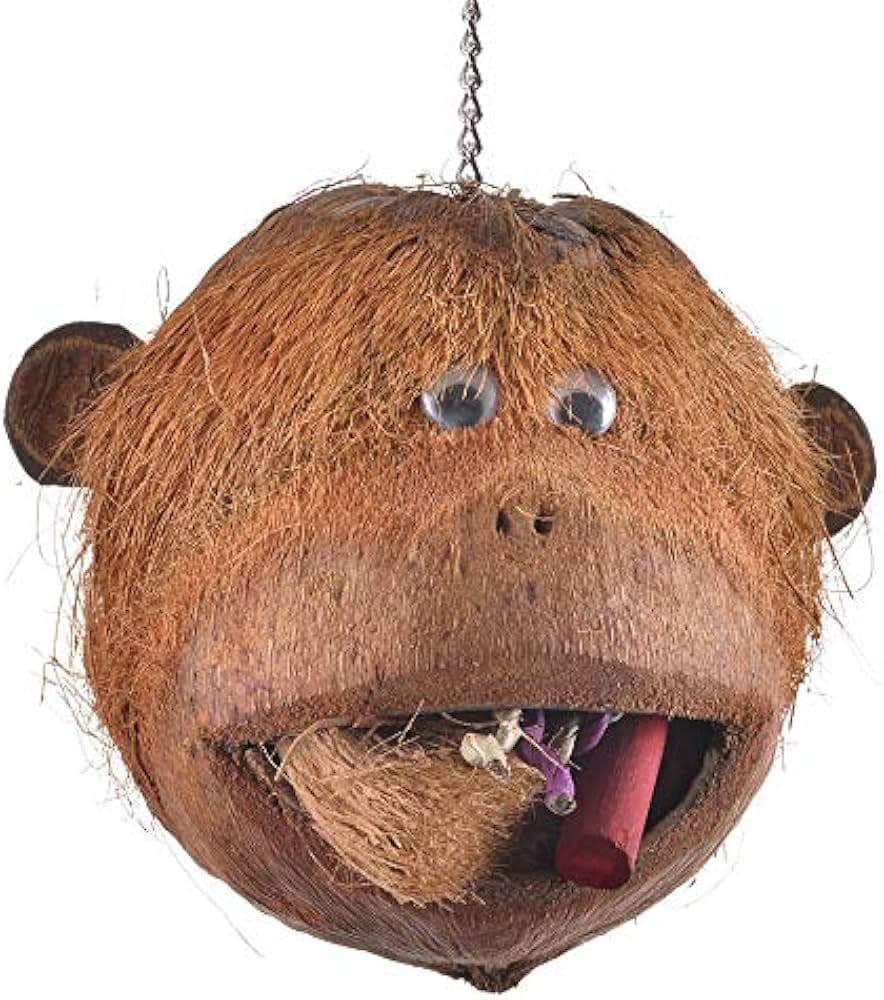 Java Coco Monkey