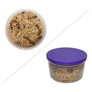 Morio Pre-pack 45g round tub