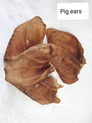 Pigs Ears (Extra Large) x 10