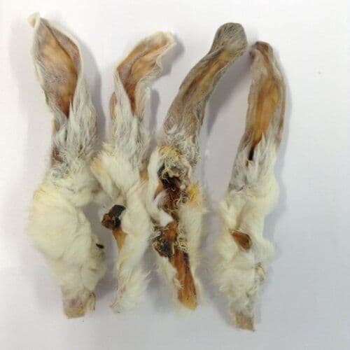 Rabbit Ears
