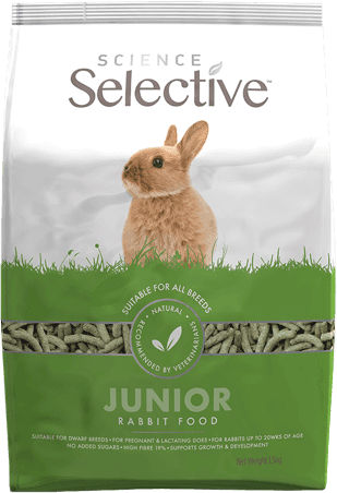 Science Selective Junior Rabbit