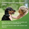 VETOpure Plant-Based Flea Collar