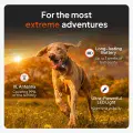 Weenect GPS Tracker