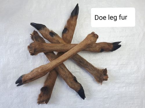 Wild Deer: Small Leg with Fur