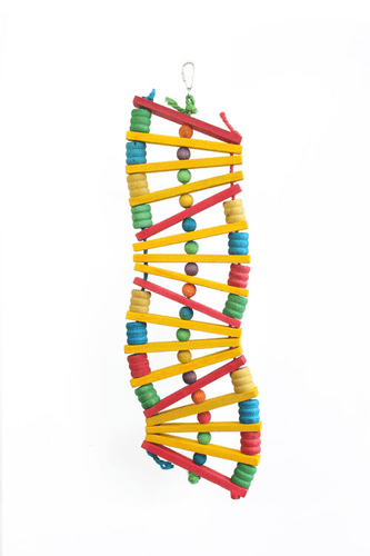 Zig Zag Toy