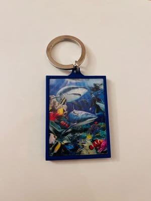 3D  Shark  Reef Keyring