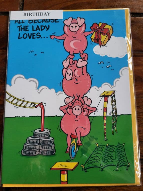 Pigs