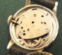 Timex ladies Great Britain Cal:413 for project