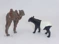 Britains Set 9006 - 1 Baby Camel & 1 Malay Tapir