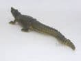 Britains Set 917 -  Nile Crocodile