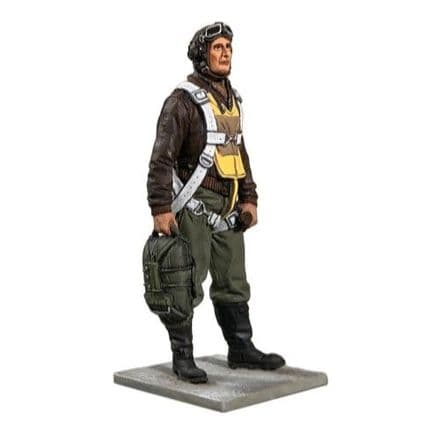 WB10106 - U.S.A.A.F. Fighter Pilot, 1943-45