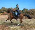 WB31504 - Union Cavalry Corporal Mounted on Trotting Horse No.1