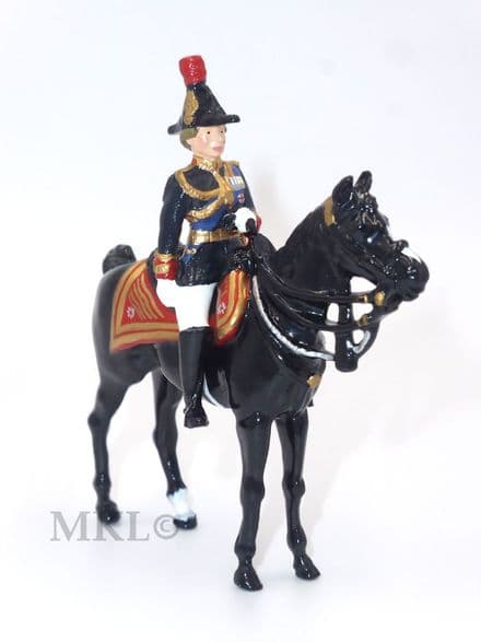 WB40117 Princess Royal, Colonel Blues & Royals