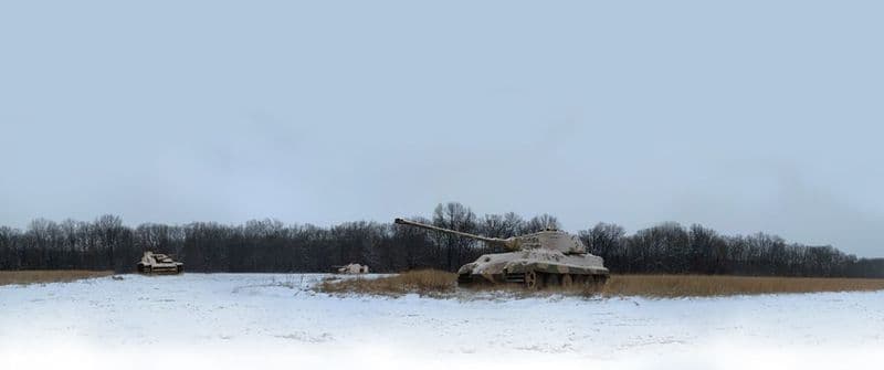 WB51048 - The King is Dead, WWII Winter 31