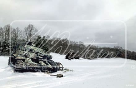 WB51087 - Winter Killing Ground Mini Back Drop