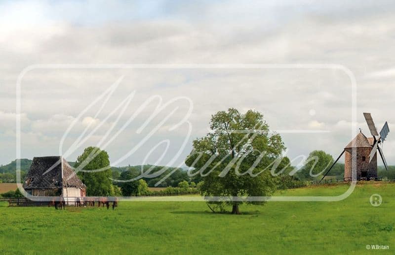 WB51088 - European Countryside Mini Back Drop