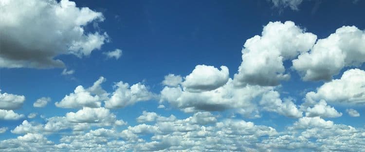 WB51103 - Blue Skies 31