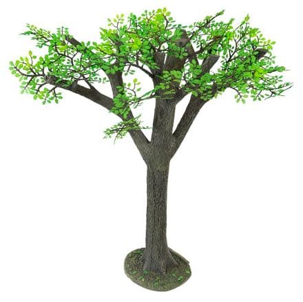 WB53007 - Old Growth Oak Tree, Summer (Special Offer)