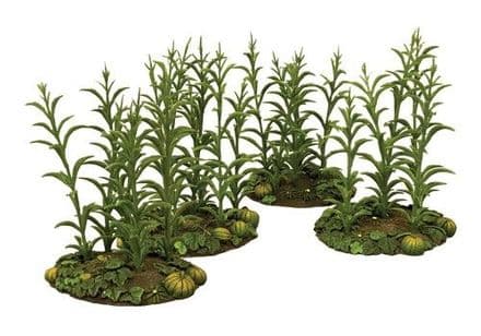 WB53016 - 18th-19th Century Summer Corn