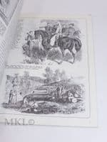 Men-At-Arms #190 - American Civil War Armies (4):  State Troops