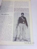 Men-At-Arms #190 - American Civil War Armies (4):  State Troops