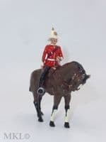 SS 552 - Duke of Wellington Regiment Mounted Officer