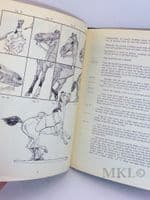 The Model Soldier Guide by Clyde A. Riley and William F. Imrie