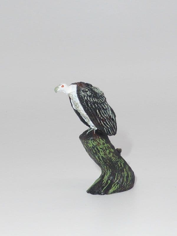 WB1389 Black Vulture