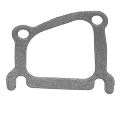 Thermostat Housing Gasket - 300TDi
