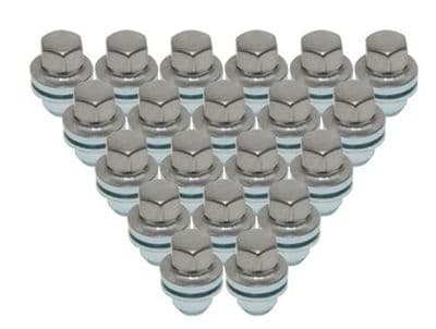 Wheel Nut Pack x 20 - LR173842X