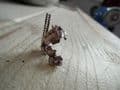 5n silver vintage traditional fire engine charm with a moveable ladder.