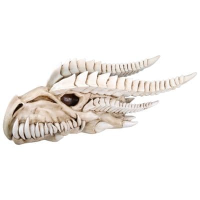 Dragon Skull Kryss