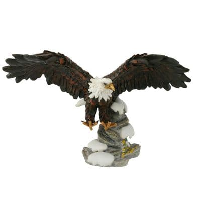 Eagle on Snowy Rocks