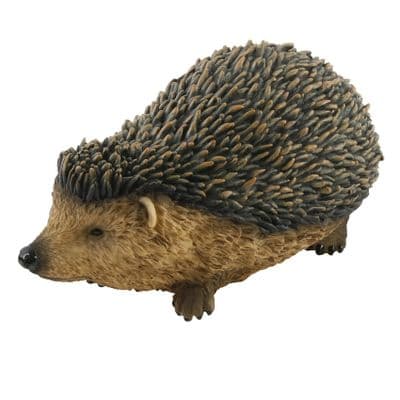 Large Hedgehog