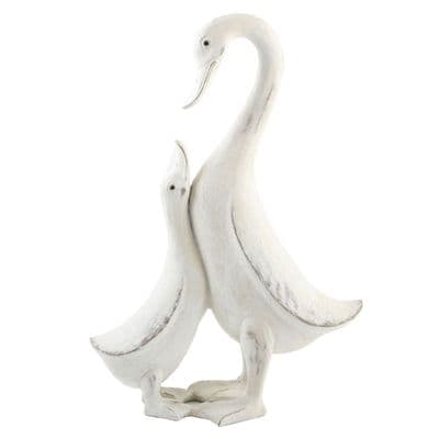 Mother and Baby Duck