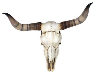 Nevada Replica Cow Skull