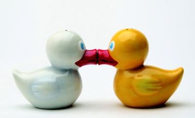Oh Just Duckie Salt and Pepper