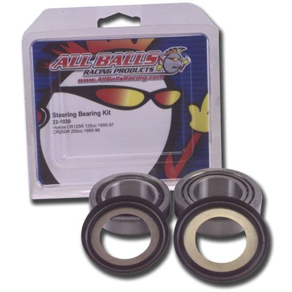 KTM Steering Head Bearings