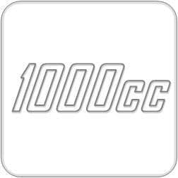 1000