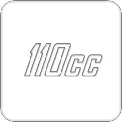 110