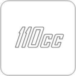 110